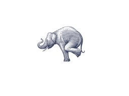 elephant icon